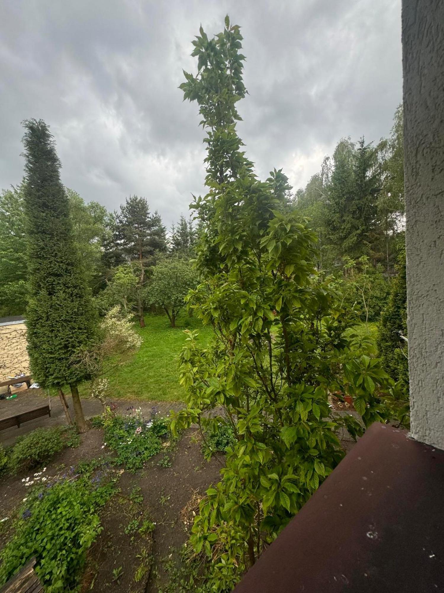Zielony Zakatek Piechowice  Camera foto